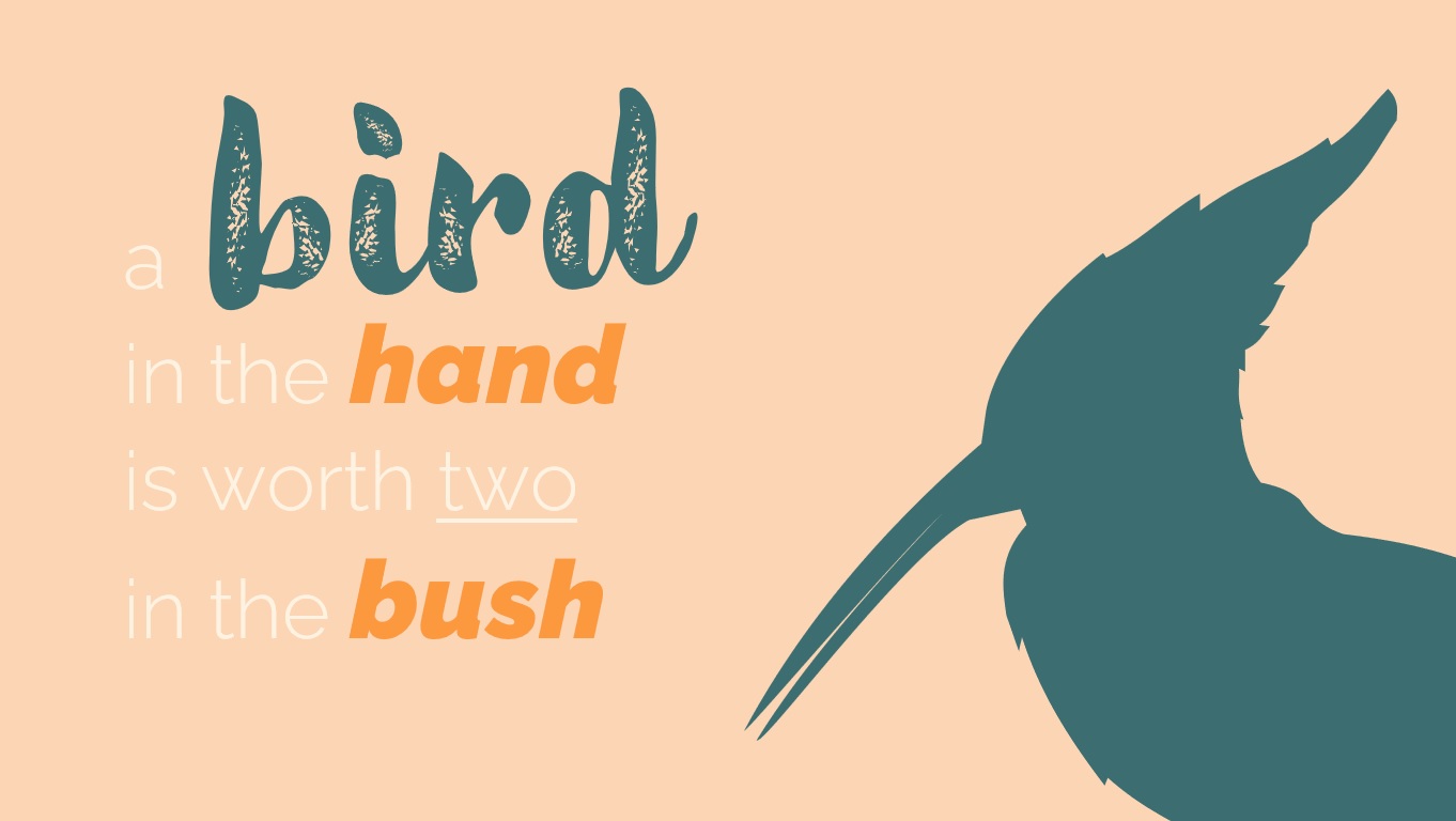 A Bird in Hand is Worth Two in the Bush