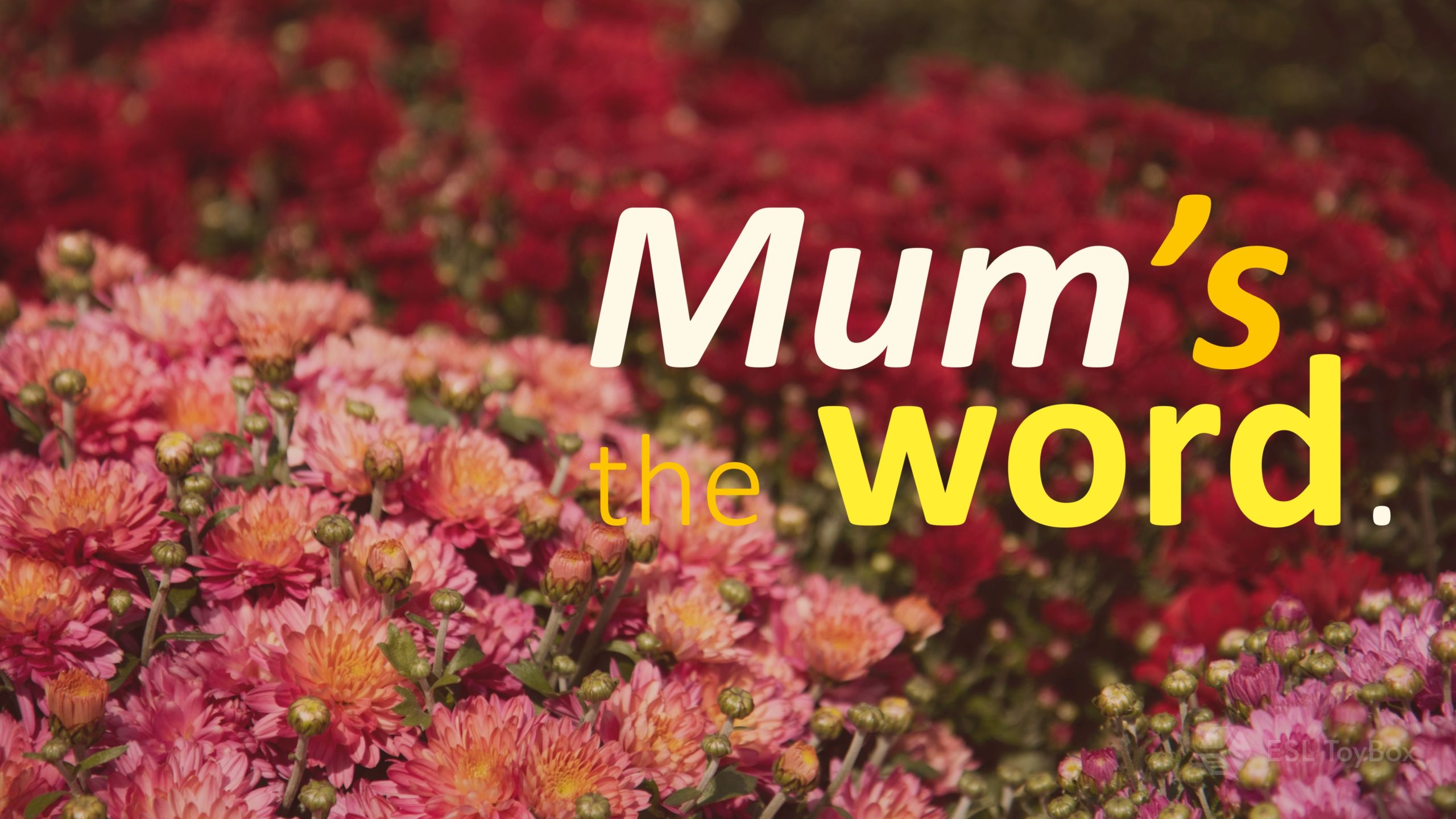 Mum’s the Word