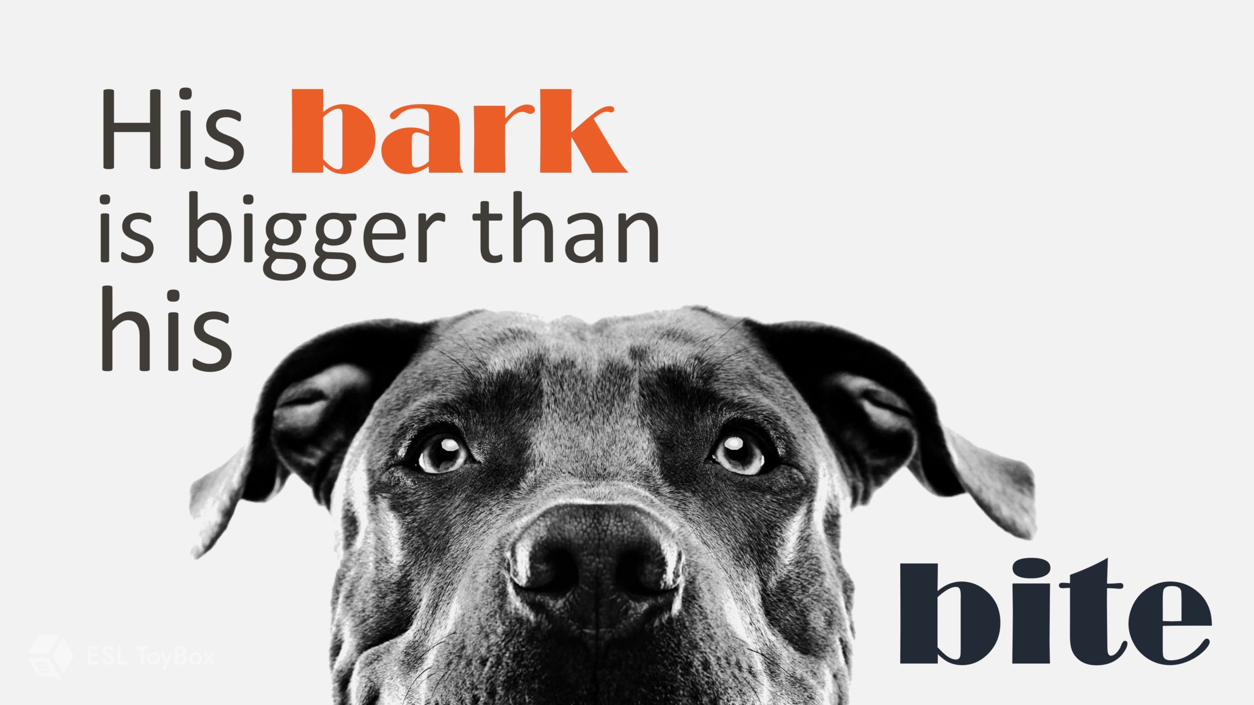 His Bark is Bigger than his Bite