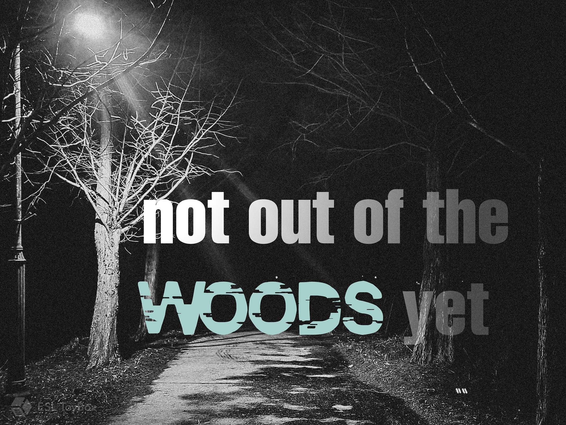 Not Out of the Woods Yet